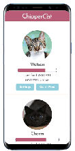 CC-Mobile-Animation-small